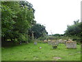 St Mary Magdalene Little Welnetham:churchyard  (i)