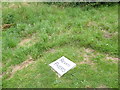 St Mary Magdalene Little Welnetham:churchyard  (l)