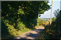 Mid Devon : Country Lane