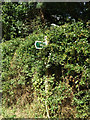 TM0173 : Byway sign on Honeypot Lane by Geographer