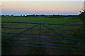 Mid Devon : Grassy Field & Gate