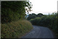 Mid Devon : Country Lane