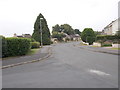 Clarendon Road - viewed from Ivy Lane