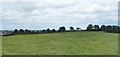 H9701 : Pasture land at Newragh by Eric Jones