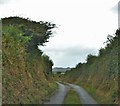 Steep Sided Lane Near Tresissllt