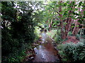 Downstream along the Cadoxton River, Dinas Powys