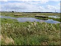 TQ5479 : Rainham Marshes nature reserve seen from the Shooting Butts hide by David Smith