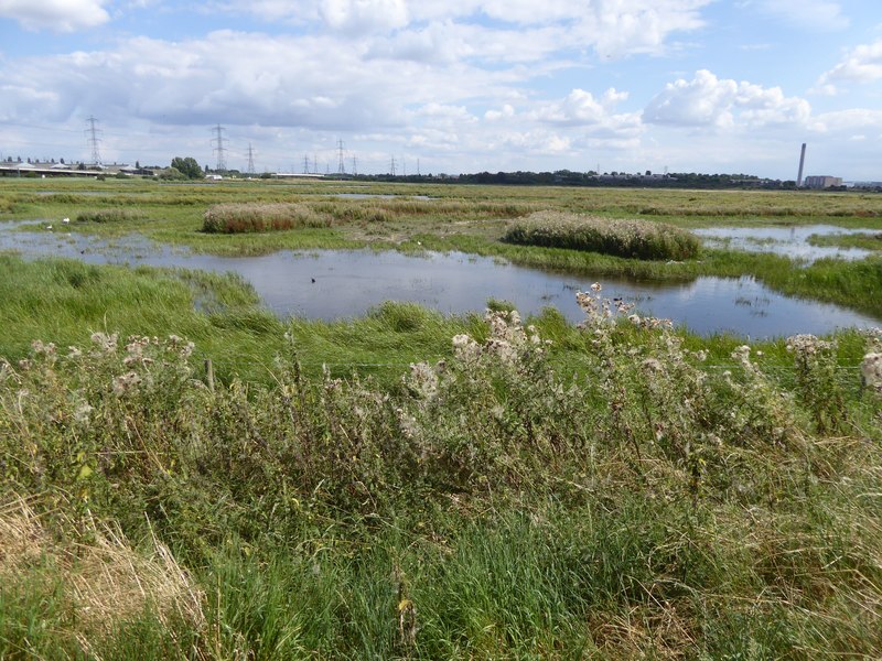 Rainham Marshes nature reserve seen from... © David Smith :: Geograph ...