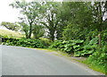 Junction of Hesley Lane and Back Lane, Rathmell