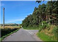 Road junction by Marywell Copse