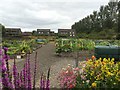 Bothwell Community Garden