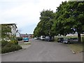 Trees by recreation ground, Tiverton