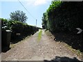 Lane adjacent to Pikes Field Cottage