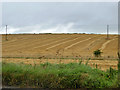 Lying straw, Orcheston Down