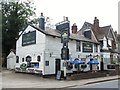 The Primrose, Pembury Road (A2014)