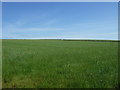 Farmland off the B874, Stemster