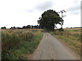 TM0274 : Calkewood Lane, Rickinghall by Geographer