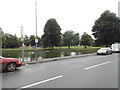 Pond on Estcourt Street, Devizes