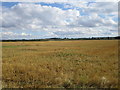 View towards Lound