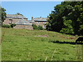 Newchurches from the Launceston Steam Railway