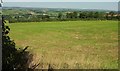 Field, Swincombe