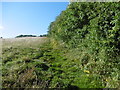 Footpath near Woodlands