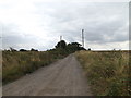 TM0174 : Manning's Lane Byway to Honeypot Lane by Geographer