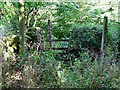 Stile on a footpath at Ordley Bank