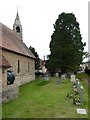 SS Philip & St James, Chapmanslade: churchyard (b)