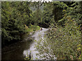 The River Torridge at Broomdown Copse