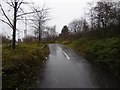 Cycle path off Ferry Road