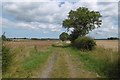 Farm road, Maltby