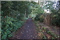 SE3407 : Penistone Rail Trail near the Fleets, Barnsley by Ian S