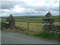 ND0566 : Elaborate field entrance, Lythmore by JThomas