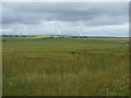 ND0565 : Crop field, Lythmore Strath by JThomas