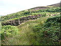 Stream coming down to cross Wadsworth Bridleway 55, Midgley