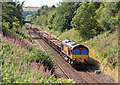 66108  approaching Haltwhistle - August 2016