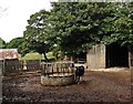 Cattle pen, Gorwell Farm