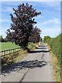 Driveway to Crabtree Farm