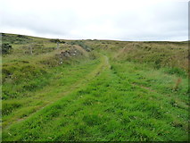 SC2378 : Sound Road approaching the site of Doarlish Cashen by Christine Johnstone