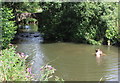 Boys Playing in the River Asker