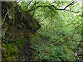 Rock face in Garrawy Glen