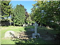 St Mary the Virgin, West Knoyle: churchyard (c)