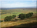 View Across Cwm Tysswg