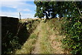 Penistone Rail Trail towards Firs Lane