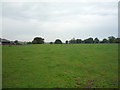 Grazing, Oaks Green Farm