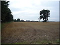 SK1534 : Stubble field, Twelve Acres Farm by JThomas