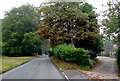 Springhill Lane approaching Lower Penn, Staffordshire