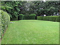 Theatre lawn, Walkden gardens Sale