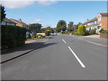 SE4133 : Conisborough Lane - New Sturton Lane by Betty Longbottom